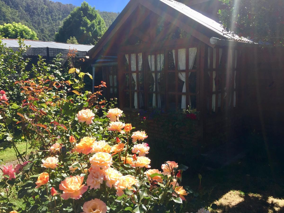 Tu Cabana San Martín de los Andes 外观 照片